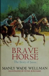 Cover of Brave horse
