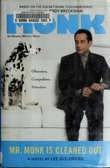Cover of Mr. Monk is cleaned out