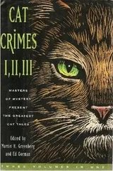 Cover of Cat crimes I, II, III