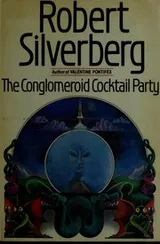 Cover of The conglomeroid cocktail party