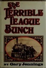 Cover of The terrible Teague bunch