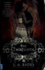 Cover of The thirteenth