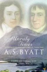 Cover of Unruly Times