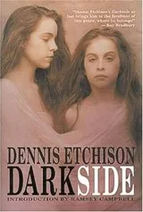 Cover of Darkside