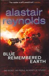 Cover of Blue remembered Earth