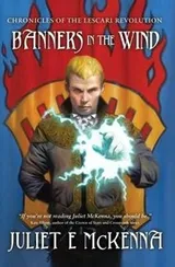 Cover of Banners in the Wind