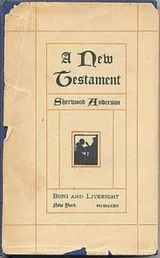 Cover of A new testament