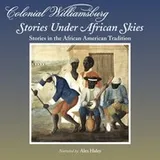 Cover of Stories Under African Skies