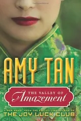 Cover of The valley of amazement
