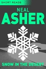 Cover of Snow in the Desert