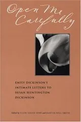Cover of Open me carefully