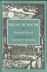 Cover of Volar de noche