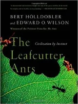 Cover of The Leafcutter Ants