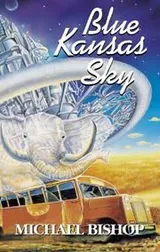 Cover of Blue Kansas sky
