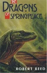 Cover of The dragons of Springplace