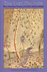 Cover of The Last Oblivion