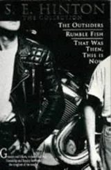 Cover of S.E. Hinton: the Collection