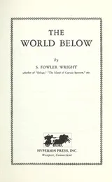 Cover of The world below