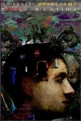 Cover of Thirteen phantasms