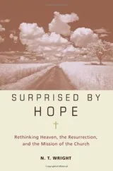 Cover of Surprised by hope