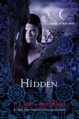 Cover of Hidden