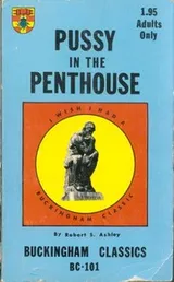 Cover of Pussy in the Penthouse