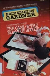 Cover of The Case of the Bigamous Spouse