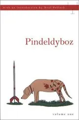 Cover of Pindeldyboz