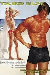 Cover of Two Boys in Love