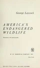 Cover of America's endangered wildlife