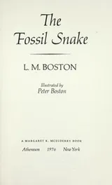 Cover of The fossil snake