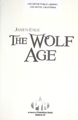 Cover of The wolf age