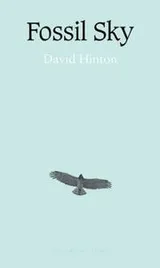 Cover of Fossil sky