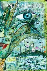 Cover of Open Letter to Quiet Light