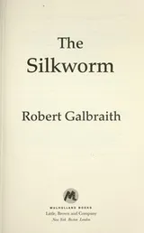 Cover of The Silkworm
