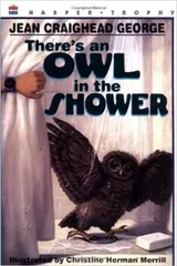 Cover of There is an Owl in the Shower
