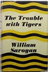 Cover of The trouble with tigers