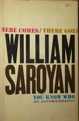 Cover of Here comes, there goes, you know who