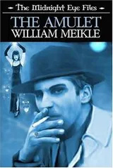 Cover of The Midnight Eye Files