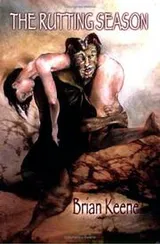 Cover of The Rutting Season