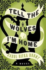 Cover of Tell the Wolves I’m Home