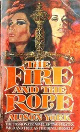 Cover of The Fire and the Rope