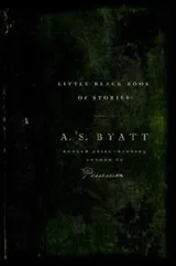 Cover of Little black book of stories