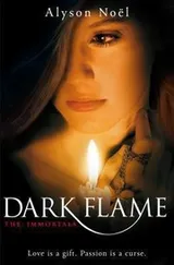 Cover of Dark Flame