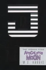 Cover of Apocalypse Moon