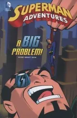 Cover of A Big Problem!