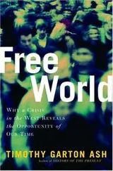 Cover of Free World