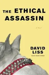 Cover of The thoughtful assassin