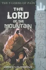 Cover of The Lord Of The Mountain