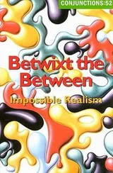 Cover of Betwixt The Between Impossible Realism